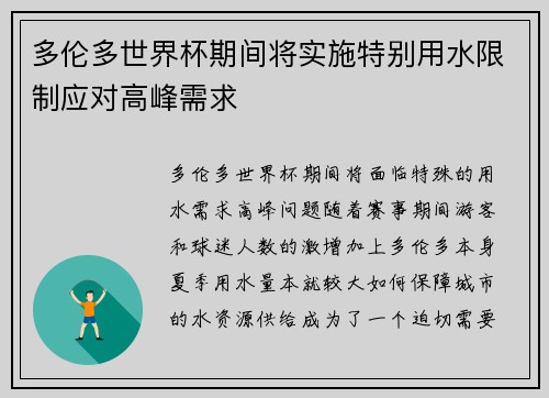 多伦多世界杯期间将实施特别用水限制应对高峰需求