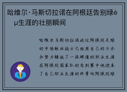 哈维尔·马斯切拉诺在阿根廷告别绿茵生涯的壮丽瞬间